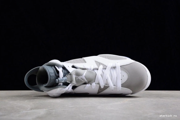 CT8529-100 Grey Cool CT8529-100 Jordan Retro 6 0309